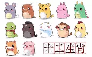 12生肖图片大全12张12生肖图，12生肖图片码数49个数