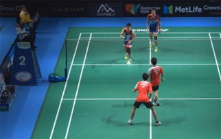 看羽毛球比赛直播的app，羽毛球直播赛事直播app免费