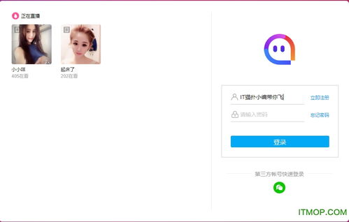 陌陌网页版登录入口，陌陌24人工台在线咨询