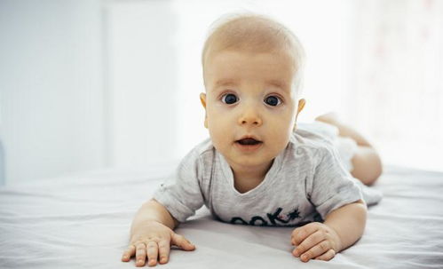 2岁7个月宝宝语言发育标准，七个月的宝宝发育标准具体有哪些