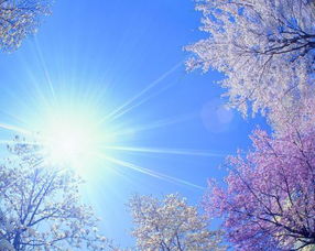 明媚的意思的英文名，阳光明媚的意思