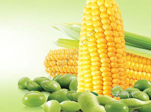 转基因和非转基因的区别食用油哪个好，转基因和非转基因的区别大豆什么意思