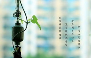 感悟是什么意思解释一下，醒悟是什么意思解释