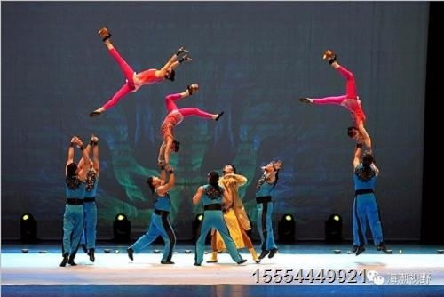 马戏团杂技表演项目大全，杂技马戏团