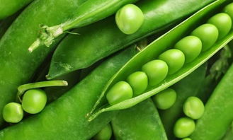 青豌豆怎么做好吃，青豌豆煮多久才熟