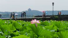西湖六月中晓出净慈寺送林子方，毕竟西湖六月中