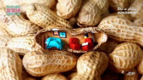 花生壳使用教程，花生壳配置教程