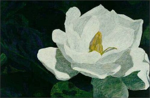 挺立如初的意思和造句，挺立如初的意思解释