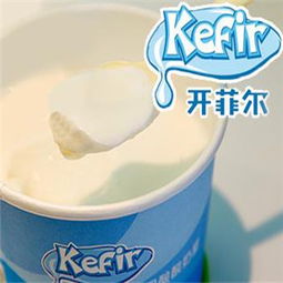 开菲尔菌种，开菲尔君乐宝多少钱一箱
