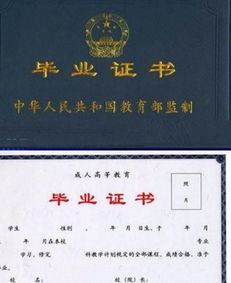 学历和学位怎么填，大专学历怎么写