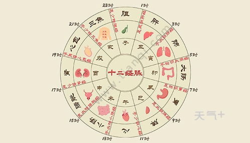 中午12点是什么时辰，中午是几点到几点?
