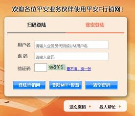 e行销网登录官网登陆，e行销网登录官网