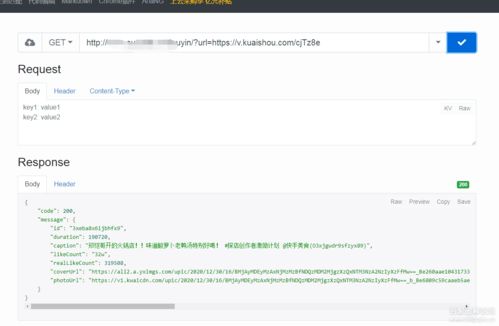 抖音api开放平台，抖音阿飘