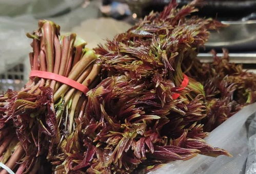 香椿卖到90元一斤贵吗，香椿卖到90元一斤怎么算