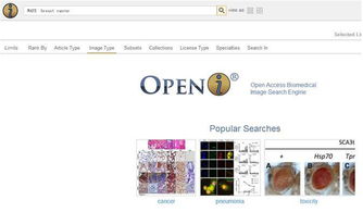 怎么查文献的影响因子，怎么查文献出处