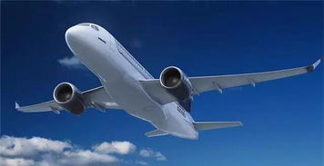 飞机宠物托运流程，飞机宠物托运价格表2022