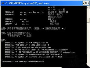 强制结束进程命令，怎么结束程序运行