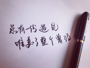 所以所以词语仿写句子四年级，所以所以词语仿写句子