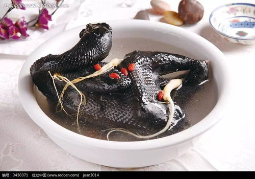 炖乌鸡汤的正确方法，炖乌鸡汤放什么配料