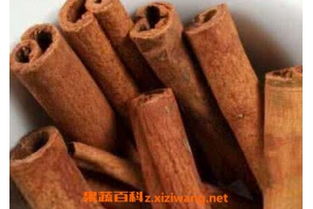 桂皮的功效与作用禁忌，肉桂的功效作用与主治