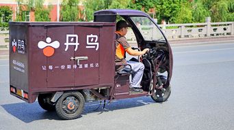 丹鸟物流查单号，丹鸟物流是什么快递