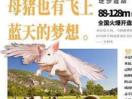 会飞的猪图片，会飞的猪是什么意思