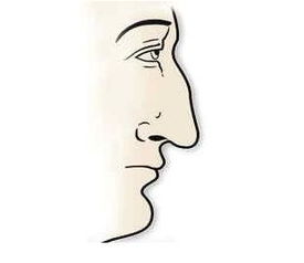 罗马鼻的女人，罗马鼻图片