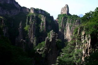 王莽岭风景区天气预报，王莽岭风景区图片