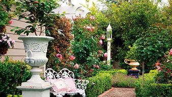 花园里有什么花补充完整，秋天花园里有什么花