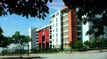 西南政法大学是985,211吗，西北政法大学在哪个城市