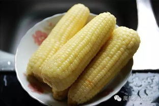 玉米蒸多久能蒸熟，新鲜玉米煮多长时间能熟