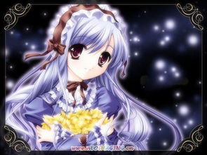 赎怎么读，赎回是什么意思