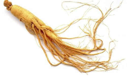 东北特产排行榜前十名，东北必买的特产零食