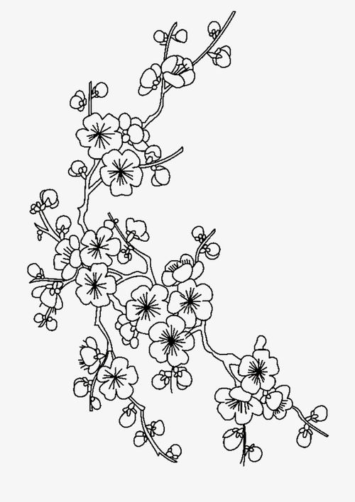 梅花简笔画图片大全，梅花简笔画简单又好看
