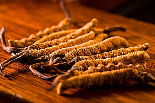 虫草吃了对身体有什么好处，虫草到底有什么功效