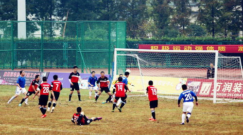 足球多少人一队上场，篮球多少人一队