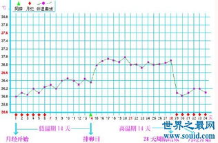 人的正常体温是多少范围呢?，人的正常体温是多少范围图片