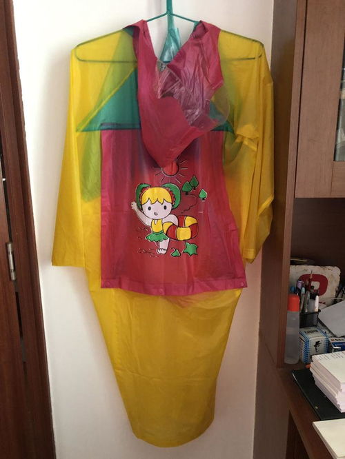 下雨天真空只穿雨衣烧饼大巴，下雨天真空只穿雨衣摆拍