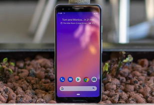 2019年将要上市的手机，19年上市手机