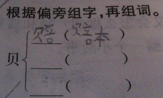 贝字旁的字大多与什么有关，贝字旁的字与钱财有关