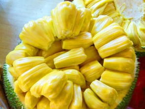 菠萝蜜种子怎么种盆栽，菠萝蜜种子有什么功效与作用