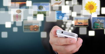 手机软件开发方向就业前景，手机软件开发方向怎么选