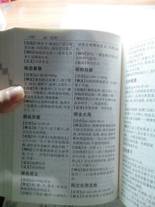 私欲是什么意思,顾名思义是什么意思，顾名思义是什么意思怎么造句