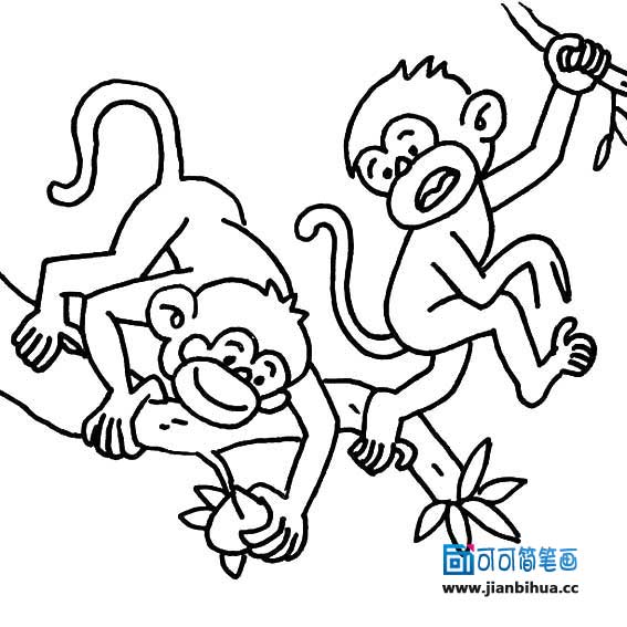 猴笔画顺序怎么写，猴笔画一共几笔