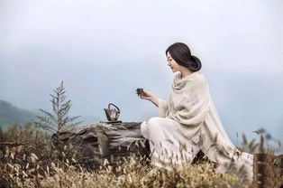 温柔恬静意思，恬静意思是什么