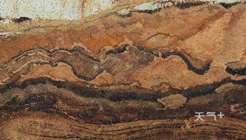 三大类岩石的主体是什么占60以上，常见的岩石种类及图片