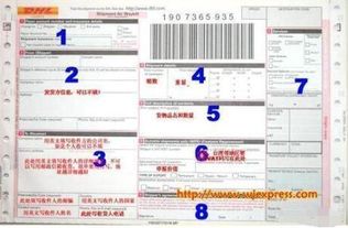 国际快递单号查询入口，国际快递单号查询ems