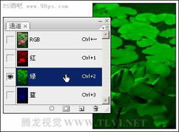 PS完全自学教程，PS完全自学pdf