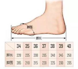 鞋号245是多少码的鞋，鞋号245是多少码的鞋子