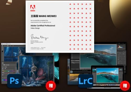 ADOBE培训班，adobe培训中心